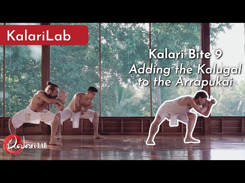 Kalari Bite 9: Adding the Kalugal to the Arrapukai - Kalarilab.org
