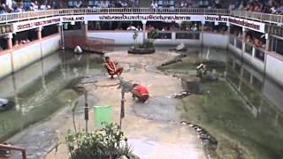preview picture of video 'Samut Prakan Crocodile Farm and Zoo, Samut Prakan Province, Thailand  ( 12 )'