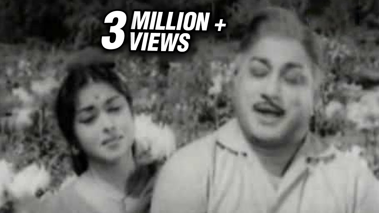 Ennai Yaar Endru Song Lyrics | Palum Pazhamum | T. M. Soundararajan, P. Susheela