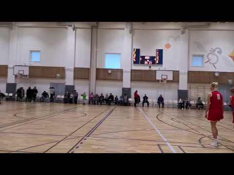 Wu14 2.div Feeniks basket - Salon Vilpas