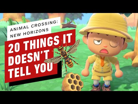 20 Things Animal Crossing: New Horizons Doesn't Tell You