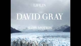 alibi - david gray