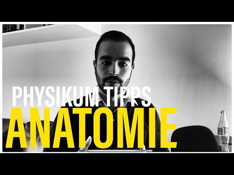 Physikum ANATOMIE / Äquivalenzprüfung Anatomie bestehen - Medizin - Tipps und Tricks | studyrunner