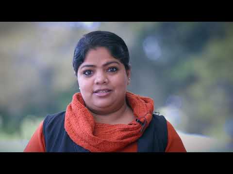 3Bridges - Career Options and Pathways