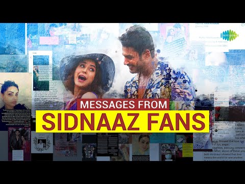Messages From Sidnaaz Fans — watch video
