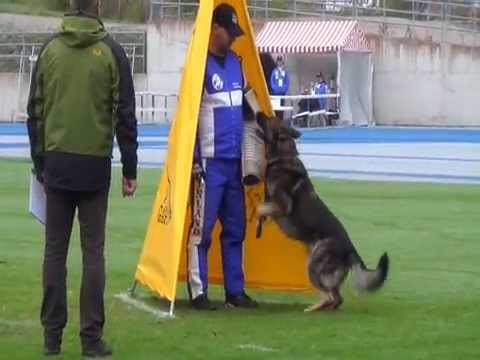 Frans Hannes King house Challege Pakwerk WUSV 2015 Lathi