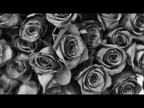 Zhané-Vibe (LP Version)