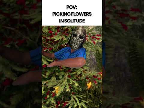 Skyrim: Funny & Relatable pt 33