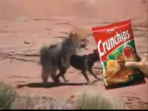 Jest Crunchips 