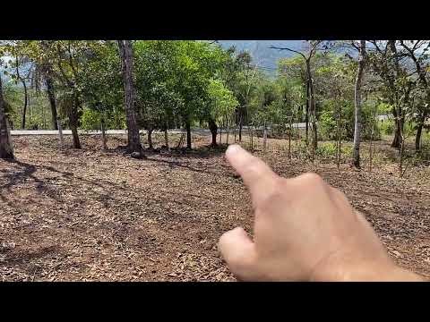 Lote Turrubares en Venta 1.405 m2