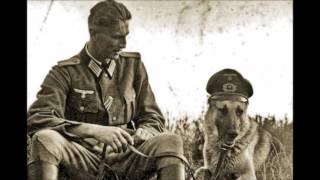 In Camera-Coordinates