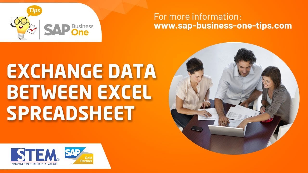 Quick Guide: Copy Data from Excel to SAP Business One
