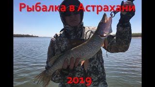 Рыбалка астраханская область никольское
