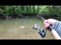 TROUT Fishing With Spinners Brown Brook Rainbow