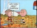 Peanuts Video Collection Commercial