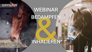 Webinar: Bedampfen & Inhalieren beim Pferd – Alles, was du wissen musst | Haygain & NEBU-TEC