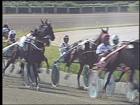 Trotto 11/06/2016 - 4° corsa