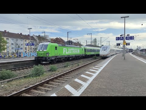 Züge in Frankfurt Süd 03.04.2025 🇩🇪