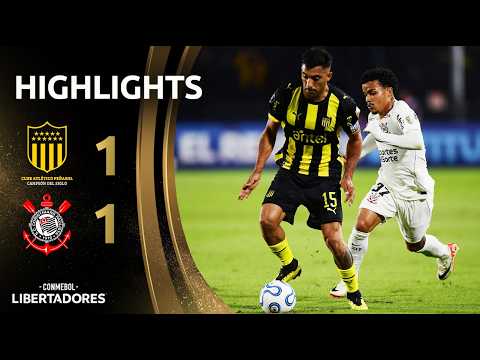 bg-highlight