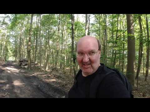 MongoTV_3551 - English Vlog_0205 - Have a Good New Week - Frederiksdal Forest