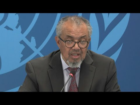 Video Thumbnail: WHO says 'additional case' of hantavirus reported in Netherlands | AFP