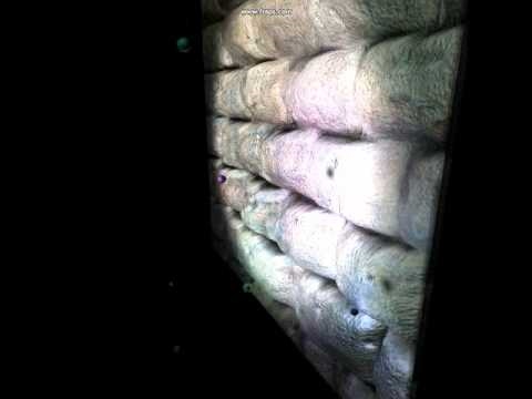 DirectX11 Deferred Shading Engine - Demo 07 : Parallax Mapping