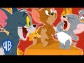 Download Tom Et Jerry En Français C Est Délicieux Wb Kids Mp3 Song
