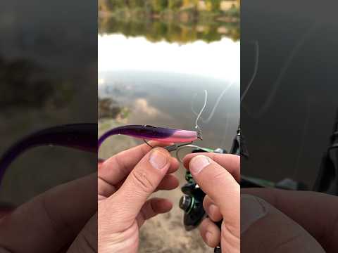 Офсетный крючок Техасец Gamakatsu №1/0,2\0,3\0,4\0,5\0 (1шт) - фото 1 - id-p1407287247