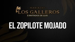 El Zopilote Mojado - Mariachi Los Galleros
