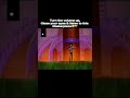 One Piece Binks Sake Ringtone Onepiece Brook