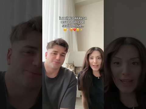 hani erkek kediler annelerine daha düşkün olurdu
