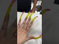 Longest Nail Extensions Bohot Hi Ajeeb Lag Rahe The Shilpachaudhary Longhairunicorn Shorts
