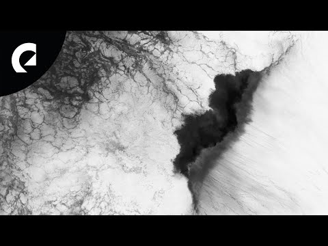 Epidemic Electronic and Ooyy