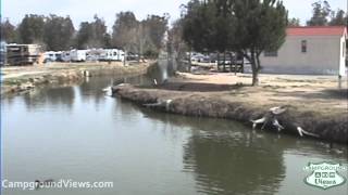 preview picture of video 'CampgroundViews.com - Thousand Trails Wilderness Lakes Preserve Menifee California CA'