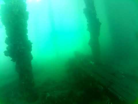 Edithburgh Live by AusOcean 14/02/2023