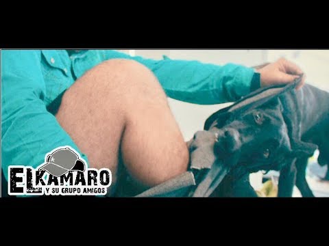 EL PIRULINO (Video Oficial) El Kamaro