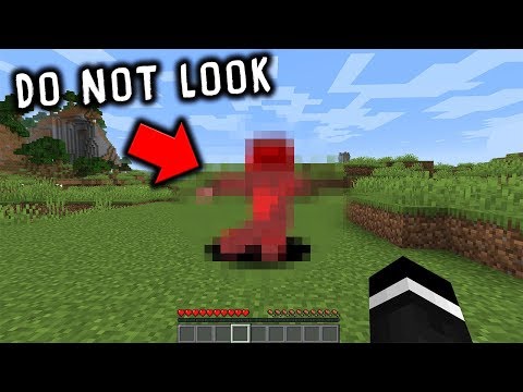 If you see this in Minecraft, CLOSE YOUR EYES... (Scary Minecraft Video)