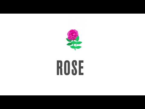 Rose Production