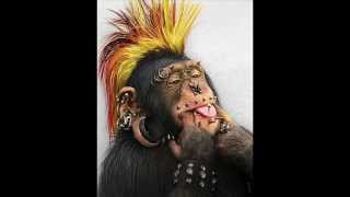 L. - ANIMAL RACIONAL