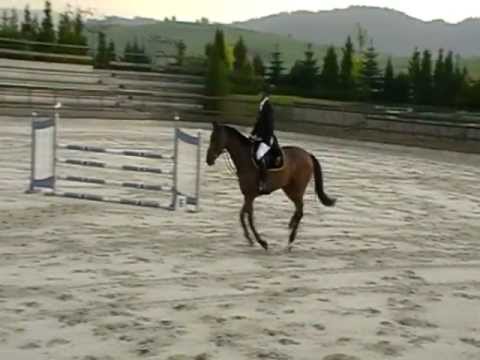 Lanette - KJK Bolix Źywiec - 25.5.2011