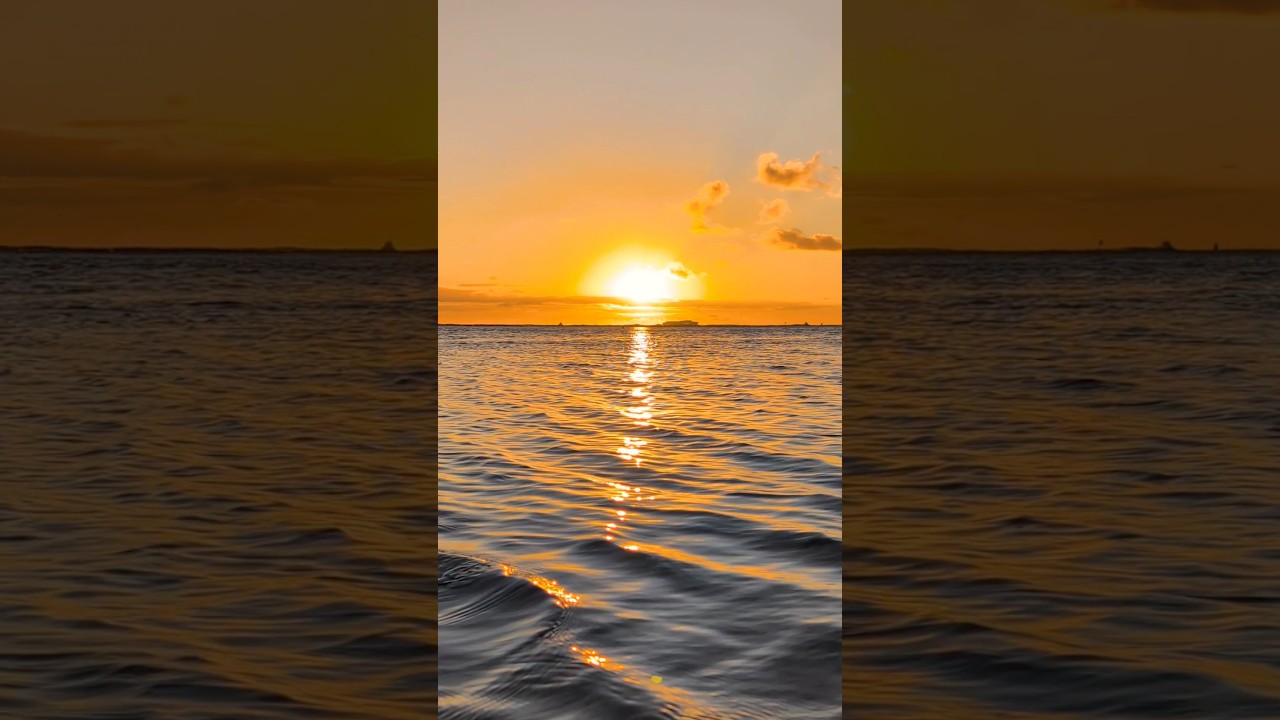 😌🎧一瞬で癒される優しい波の音 #睡眠 #ストレス軽減 #海の音