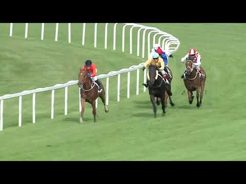 2019.05.19. 07. futam - SZENTTAMÁSI DÍJ (I.kat.)