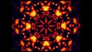 The Go! Team - The Floating Felt Tip