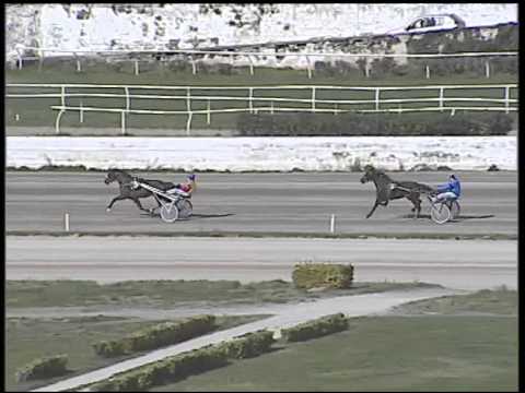 Trotto 01/03/2015 - prova di qualifica