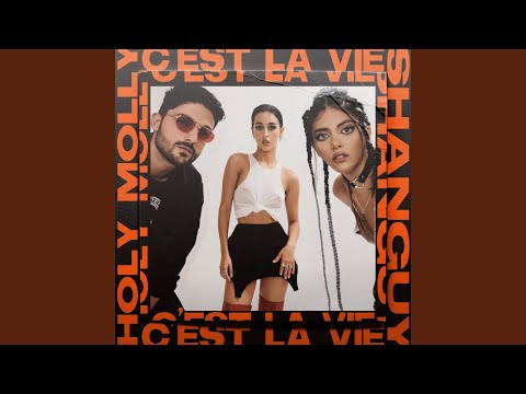 C'est la Vie (NRD1 Remix)