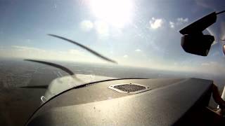 Mean Wasp in the Cockpit