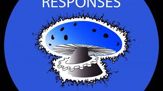 IST016 - Somatic Responses - Gama Axon