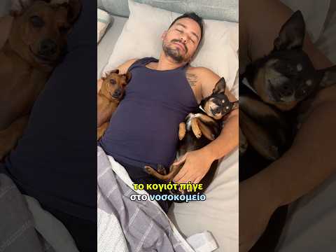 Το σκυλί μου πήγε στο νοσοκομείο
