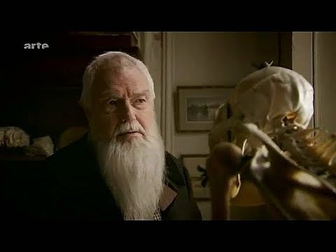 Les Origines - La Théorie de l'évolution de Darwin