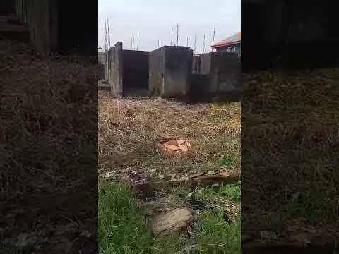 Full Plot of Land – Back of Jakande, Oke Afa, Isolo